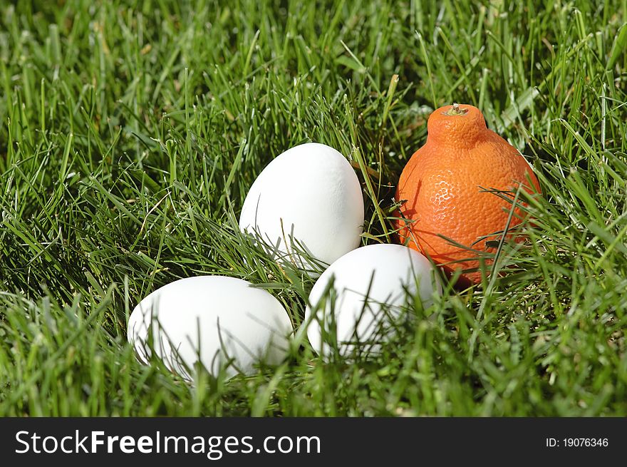 White eggs and mandarin laying in grass