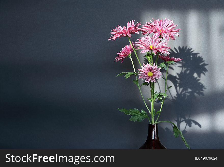 Glass vase with nice pink flowers on dark background. Glass vase with nice pink flowers on dark background