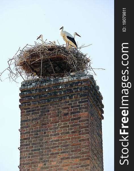 People are mounted on the stack platform on which the storks to build a nest.