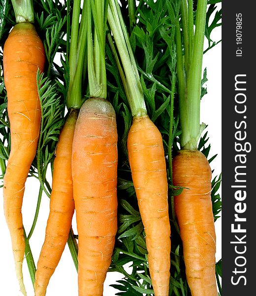 Fresh cut carrots on a white background. Fresh cut carrots on a white background.