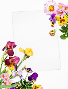 Card With Flowers Royalty Free Stock Photography Card With Flowers Royalty Free Stock Photography