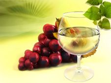Wineglass And Grapes Stock Photography Wineglass And Grapes Stock Photography