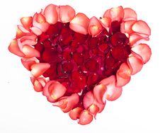 Heart From Petals Of A Red Rose Royalty Free Stock Photography