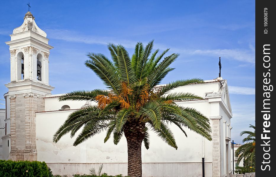 Palm front of the church in Vieste (Puglia Italy)