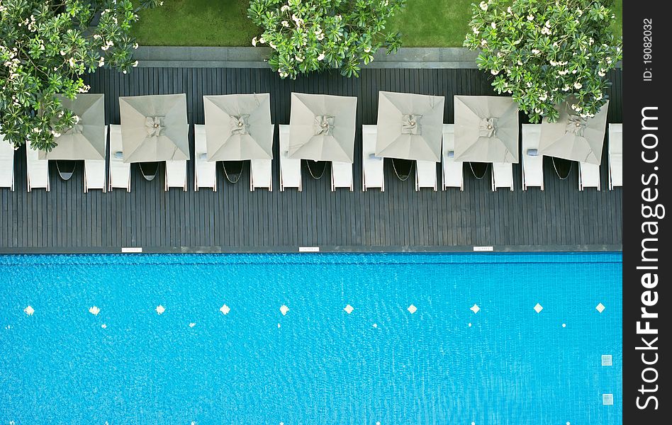 Swimming pool in the garden