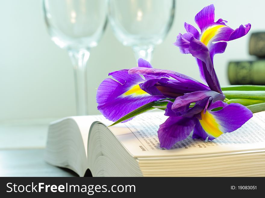 Purple iris lying in opened book with wine glasses in the background. Purple iris lying in opened book with wine glasses in the background