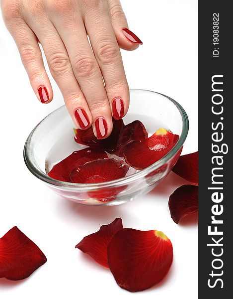 Beautiful hand with perfect nail red manicure and rose petals.