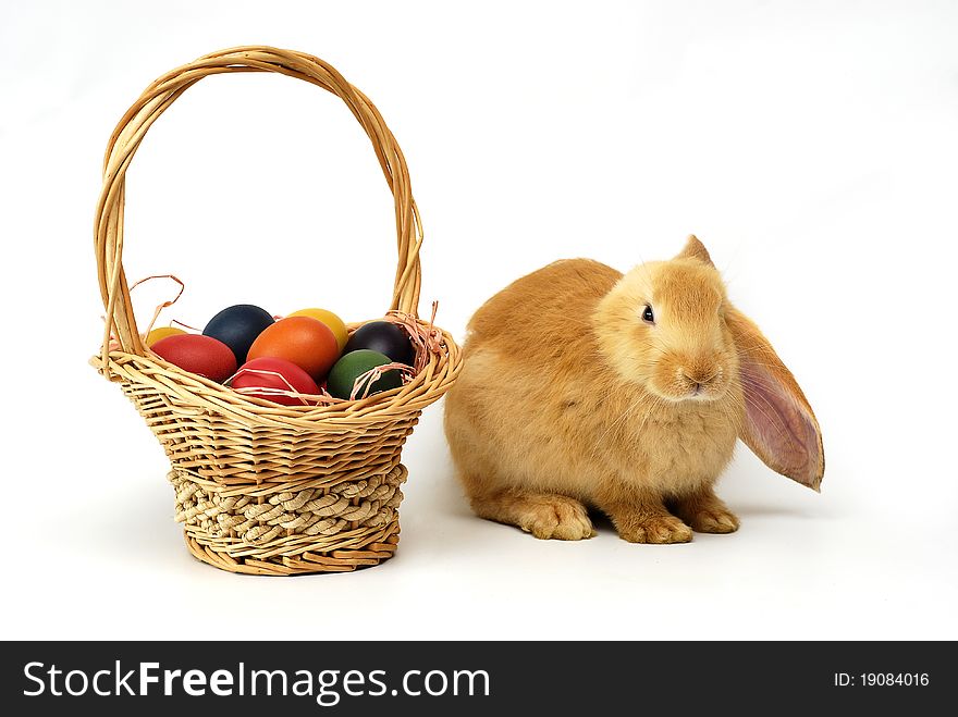 Rabbit with Easter with basket of painted eggs on the white background. Rabbit with Easter with basket of painted eggs on the white background