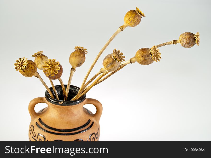 Herbal composition of mature poppy capsules standing in the antique vase. Herbal composition of mature poppy capsules standing in the antique vase.