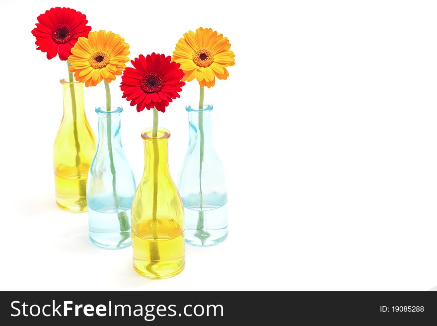 Several gerberas in colored glass vases. Several gerberas in colored glass vases