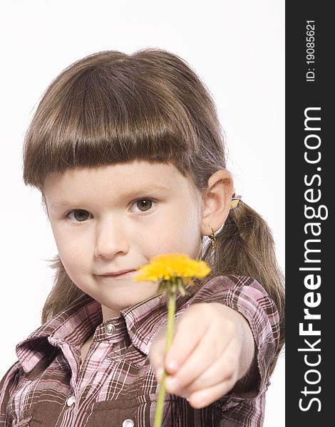 Pretty brunette girl is offering a yellow flower to the viewer. Pretty brunette girl is offering a yellow flower to the viewer.