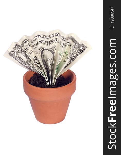 A dollar bill growing up in a small clay pot like a plant. A dollar bill growing up in a small clay pot like a plant.