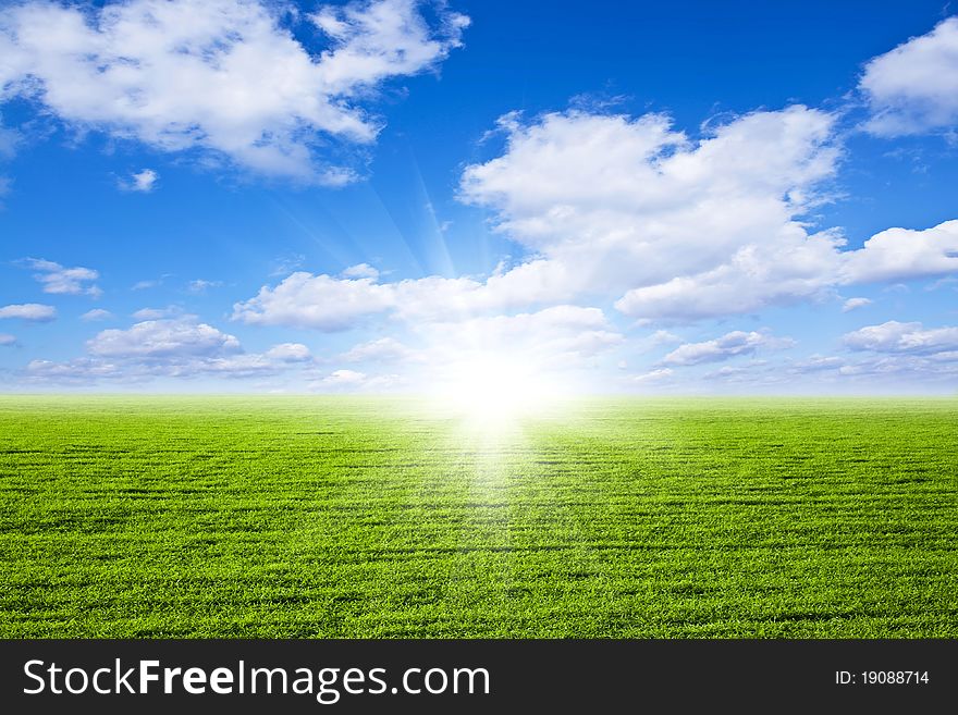 Green field in sun beams