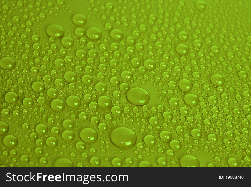 Water drops on green background