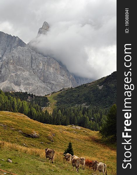 The mountains of Trentino pastures and mountains. The mountains of Trentino pastures and mountains