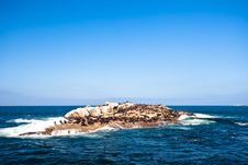 Seal Island Mossel Bay Stock Photo Seal Island Mossel Bay Stock Photo