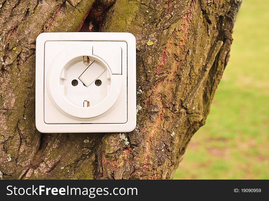 An electric plug fixed on a tree. An electric plug fixed on a tree