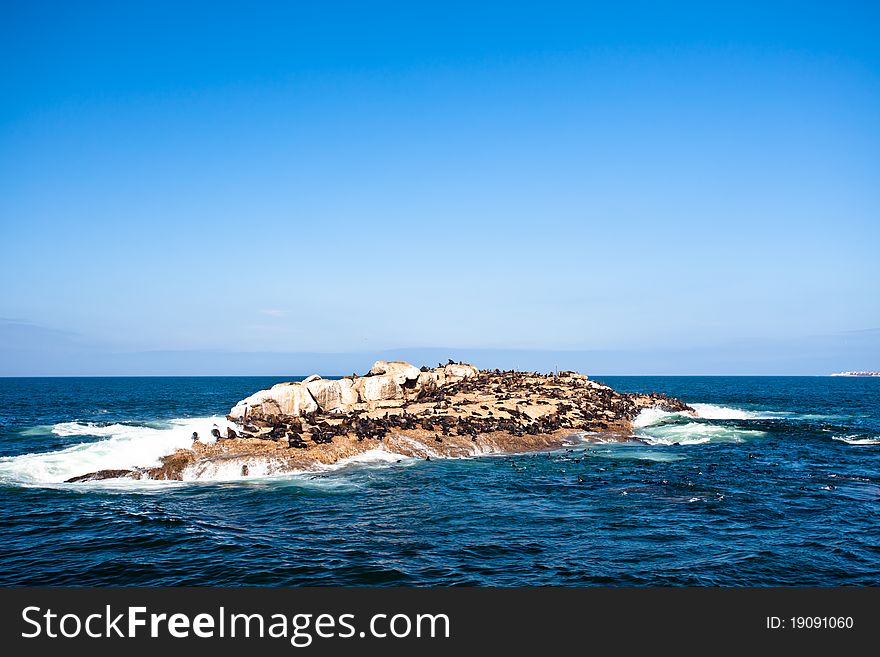 Seal Island in Mossel Bay viewed from a boat. Seal Island in Mossel Bay viewed from a boat.