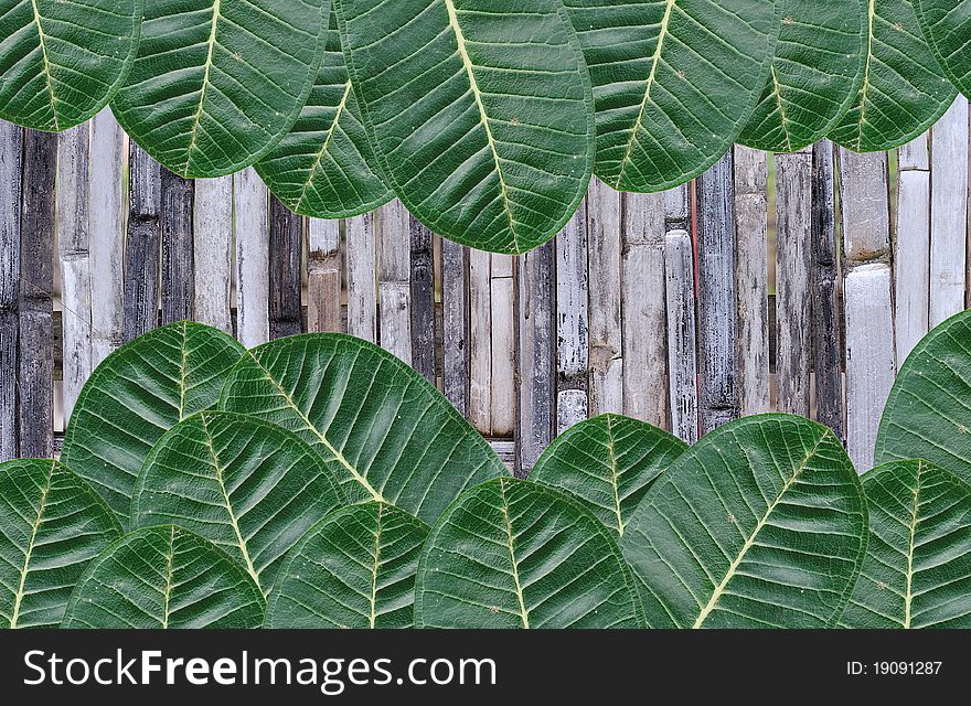 Green leaves on bamboo background.