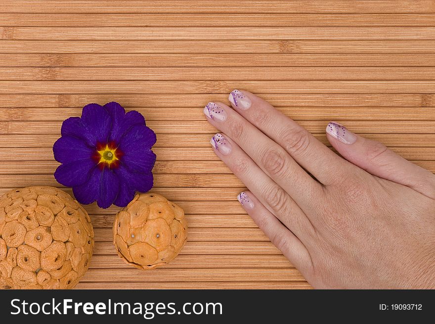 A nice hand on phloem background. A nice hand on phloem background