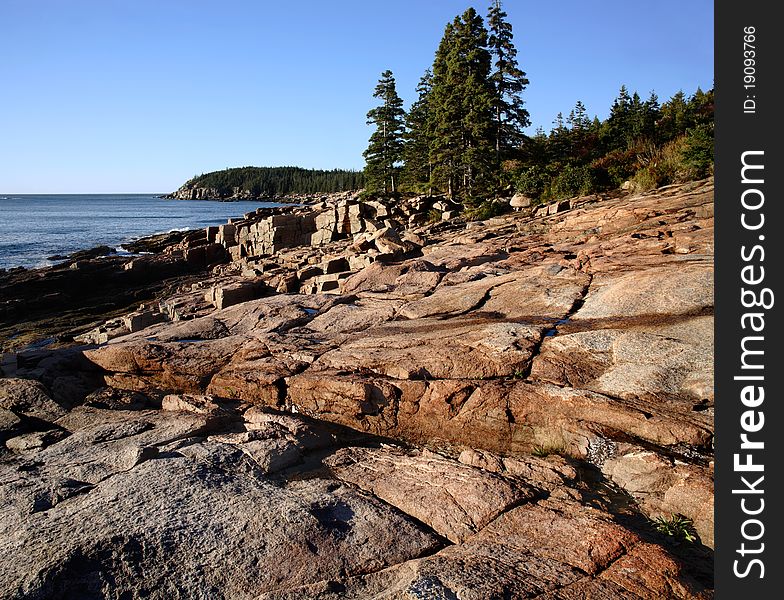 The Seacoast At Thunderhole In Acadia National Park, Maine