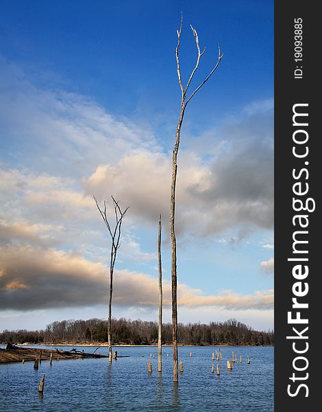 Late Evening Skies And Tall Dead Trees In Caesar Creek Lake During Early Spring, Southwestern Ohio. Late Evening Skies And Tall Dead Trees In Caesar Creek Lake During Early Spring, Southwestern Ohio