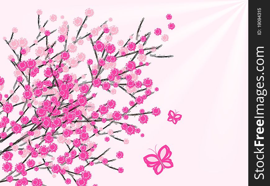 Spring flowers on pink background. Spring flowers on pink background