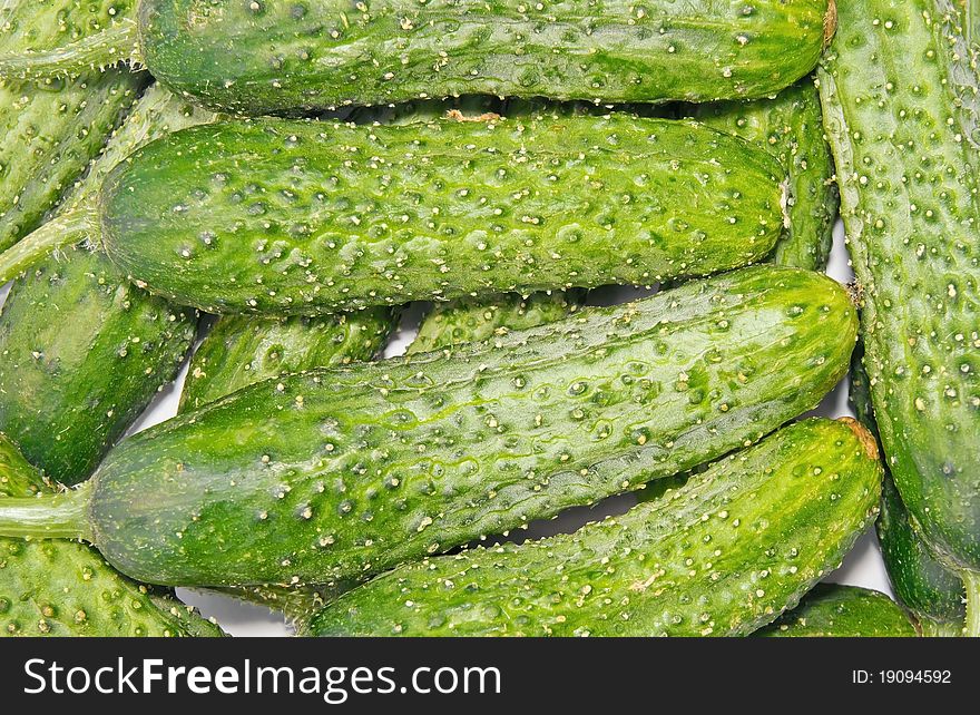 Background made from fresh green bio cucumbers.