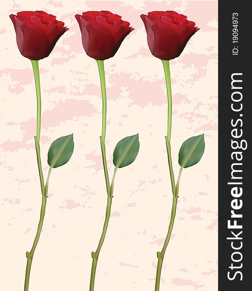 Single Red Roses On Distressed Background