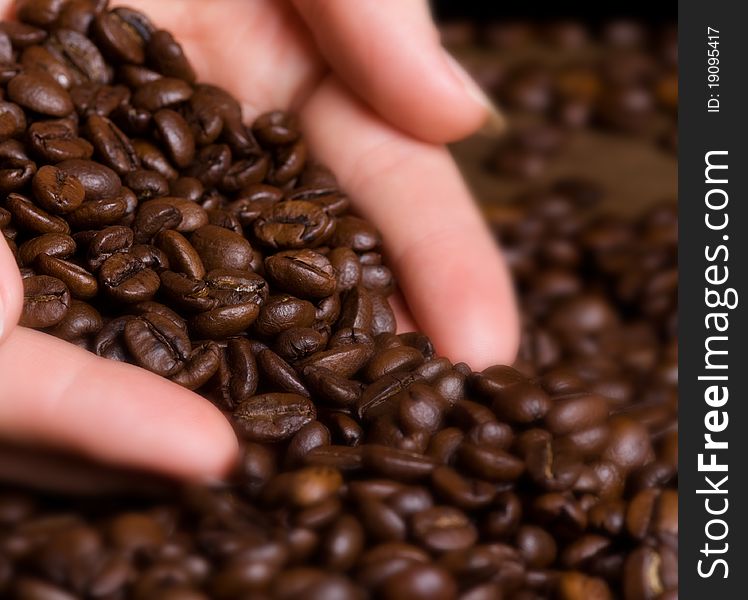 Closeup woman's hand hold freshly roasted coffee beans. Closeup woman's hand hold freshly roasted coffee beans