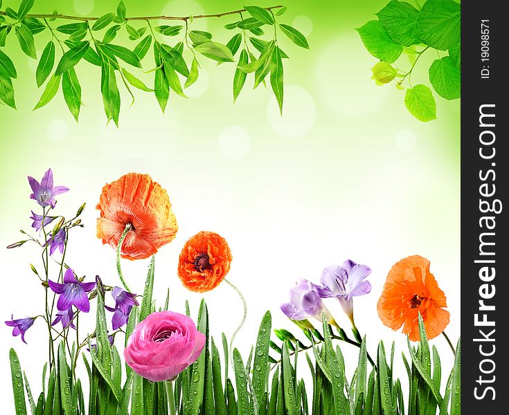Floral background with different flowers and grass and branches