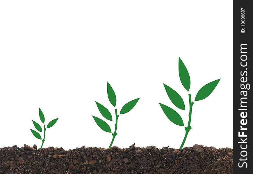 Illustrations od seedling growing in soil isolated against a white background. Illustrations od seedling growing in soil isolated against a white background