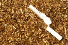 Sliced Tobacco Leaves Background Stock Photos Sliced Tobacco Leaves Background Stock Photos