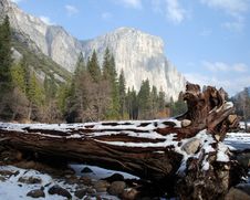 El Capitan Stock Photography El Capitan Stock Photography