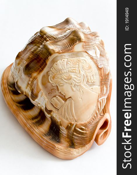 Cockle-shell with incised antique face