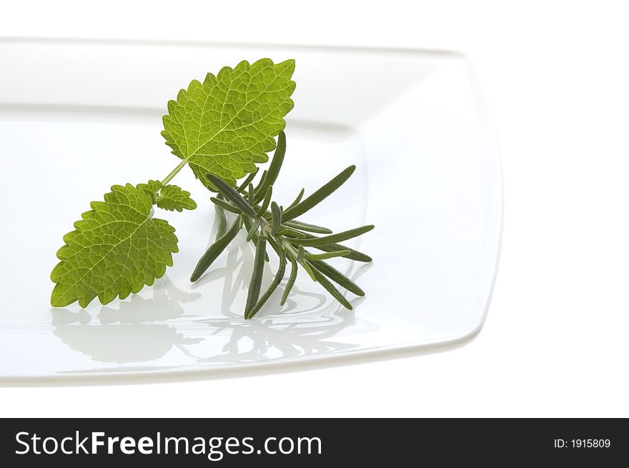 Fresh herbs and spices. rosemary, lavender, lemon balm.  isolated on the white