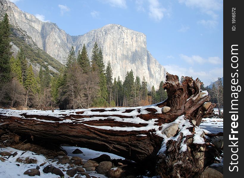 El Capitan View at Yosemite National Park, CA