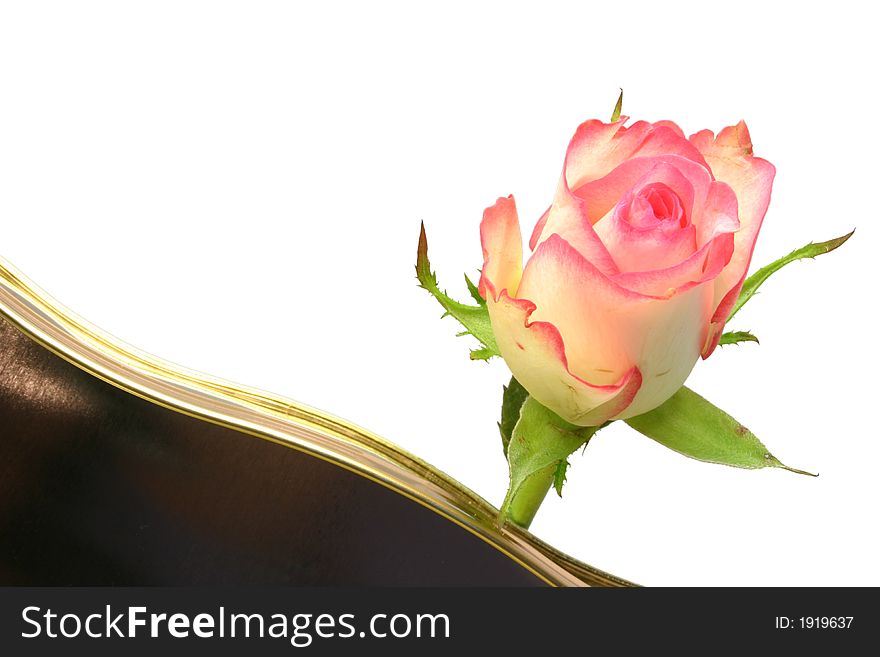 Rose on a tin of chocolates over a white background. Rose on a tin of chocolates over a white background