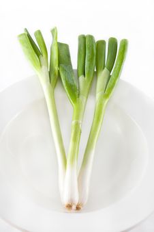Green Onion Royalty Free Stock Images