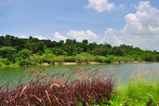 A Garden By The River In Punggol Royalty Free Stock Photos A Garden By The River In Punggol Royalty Free Stock Photos