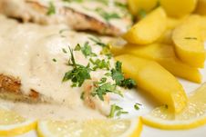 Chicken Steak With Sause And Potatoes Stock Image