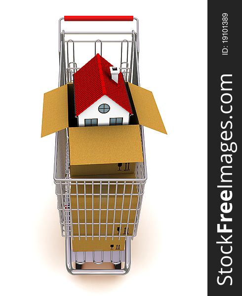 House in an open cardboard box, standing on trolley