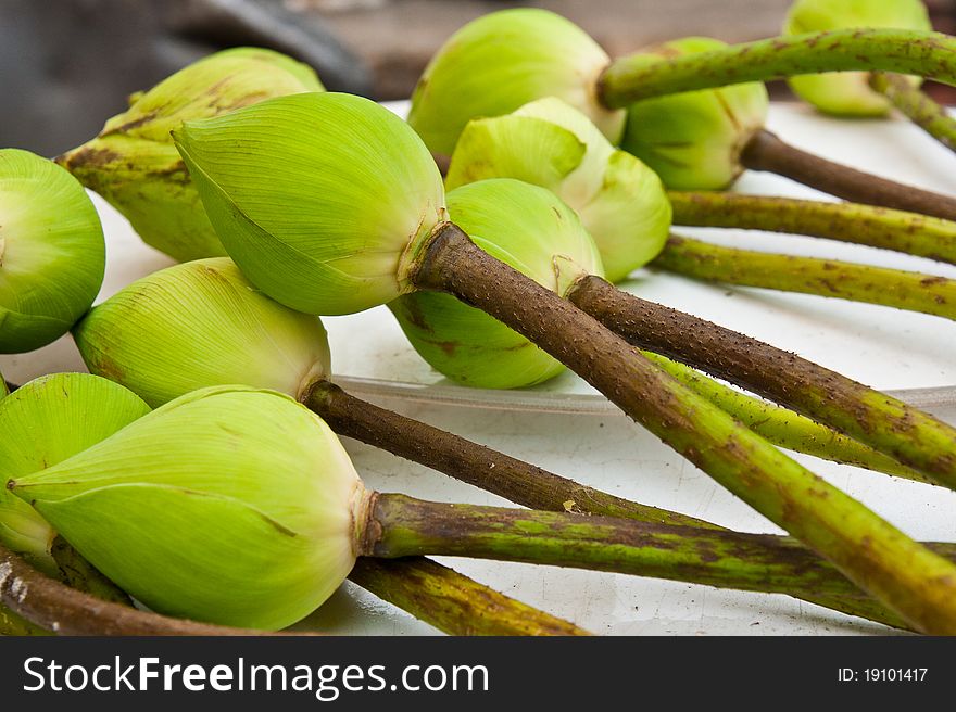 Green lotus buds for prey to Buddha. Green lotus buds for prey to Buddha