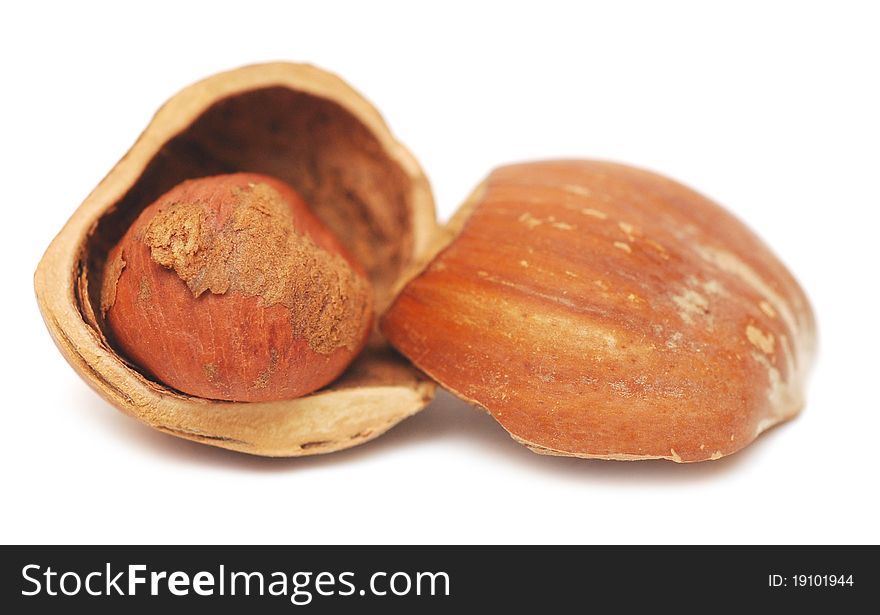Nuts a filbert in a shell isolated on a white background. Nuts a filbert in a shell isolated on a white background