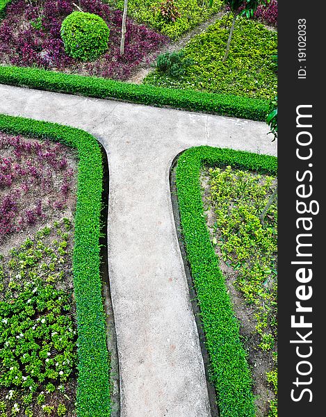 Stone way and green grass in garden