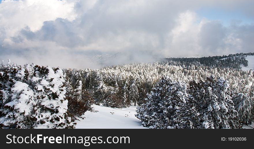 Winter landscape from Troodos mountains in Cyprus