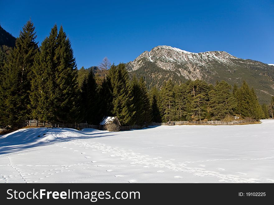 Winter mountain view in Alps