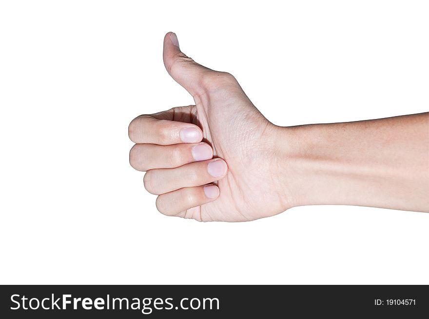 Hands on a white background