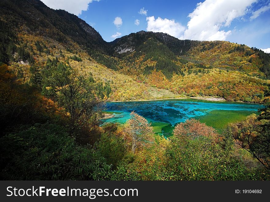 The most colorful lake in Jiuzhai Valley Sichuan China. The most colorful lake in Jiuzhai Valley Sichuan China