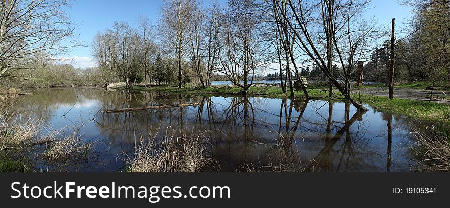 A pond panorama in Fairview OR.